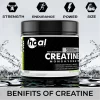 Hoal Nutrition Creatine Monohydrate | 250g Unflavoured | 100% Pure Micronized Creatine Powder | Muscle Gain, Strength & Endurance Supplement | Fast Absorbing | No Fillers | Lab-Tested