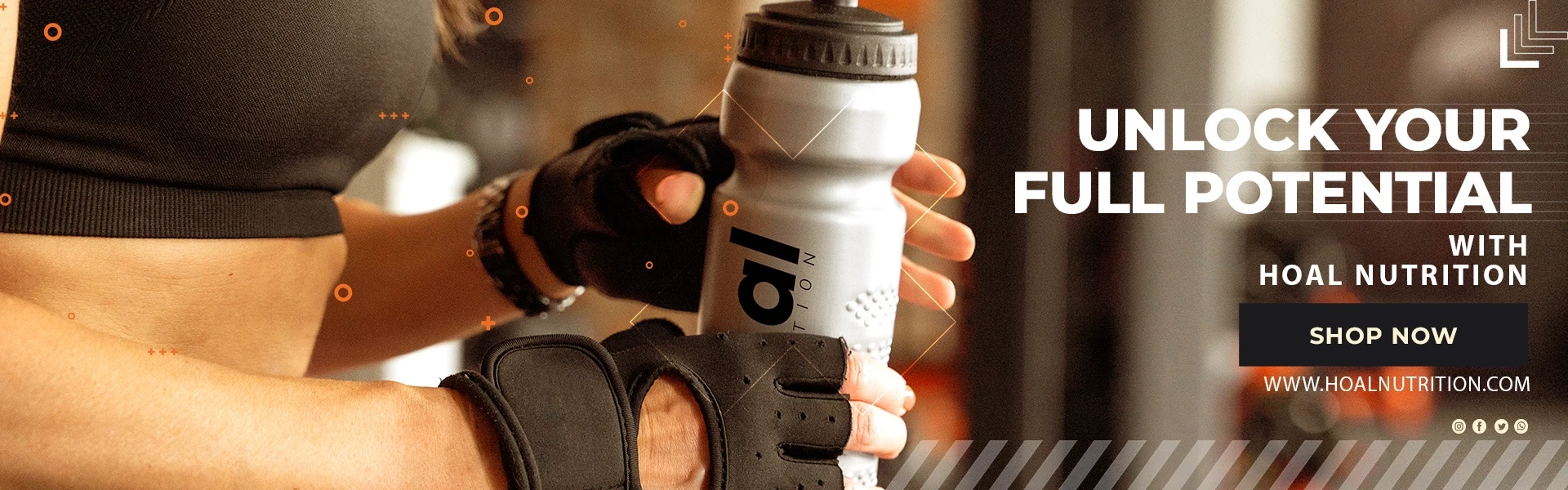 hoal nutrition
whey protein
goal nutrition
supplements
health and fitness
gym
supplements